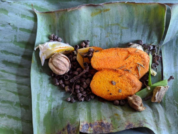 SAWAN, PENGOBATAN ALTERNATIF JAWA DAN MODERN  BERDAMPINGAN ATAU BERSAING?